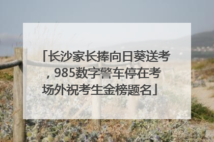 长沙家长捧向日葵送考，985数字警车停在考场外祝考生金榜题名